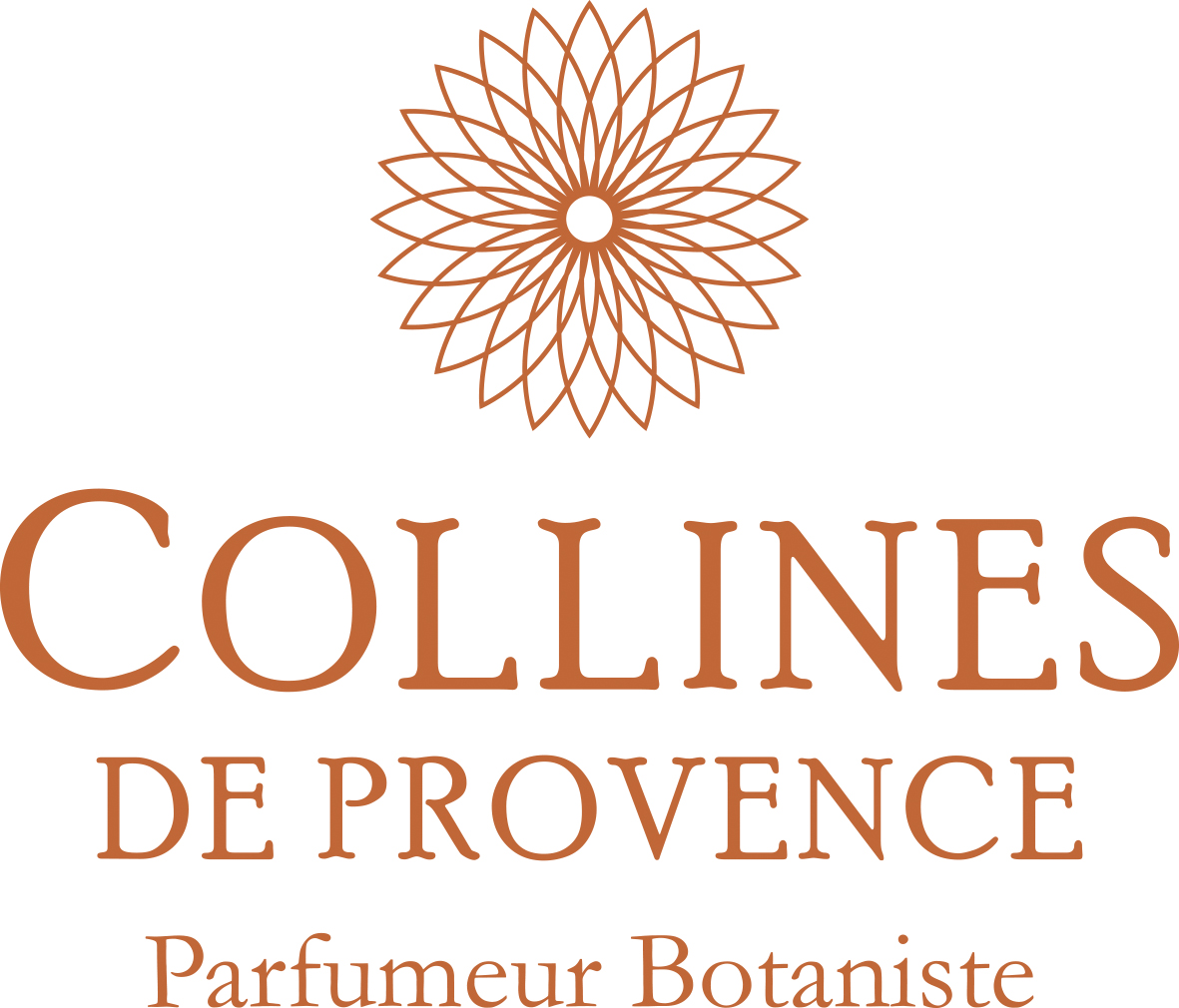 LOGO + ROSACE CUIVRE